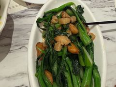 蚝油菜心-翠华(澳门银河店)