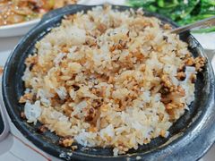 -煲来饱去冷水鱼