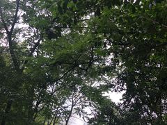 -紫金山索道-售票处