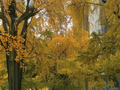 -四川大学(华西校区)