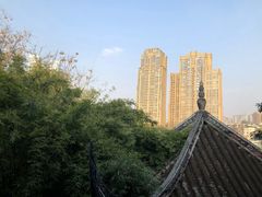 景观位-茗椀楼餐厅