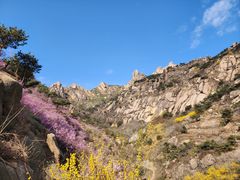 -青岛大珠山景区