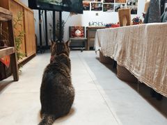 -创艺无限·赵春香微妙艺术馆