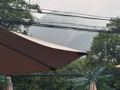 -都江堰石锅鱼