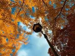 -成都濑川外国语学校