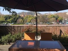 -青藤茶馆(凤起路店)