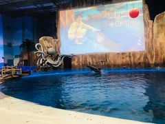 -华夏文旅海洋公园