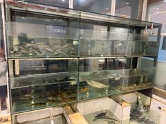-小乡小镇·传承桐庐土菜·老板亲自烧的菜