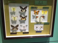 -上海昆虫博物馆