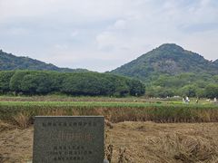 -八卦田遗址公园