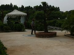 -小象钓虾·营地烧烤(洛溪店)