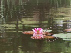 -石塘人家