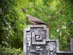 -成都杜甫草堂博物馆