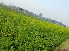 -中国天府农业博览园