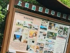 -上海海湾国家森林公园