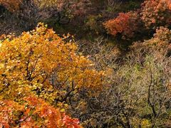 -香山公园-东宫门售票处