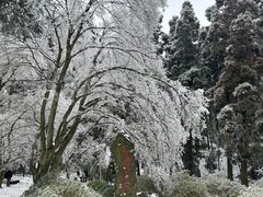 -庐山风景区花径公园