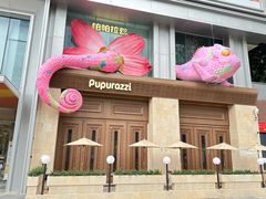 -帕帕拉兹宠物(亚洲旗舰店)