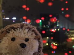 -大堂茶座