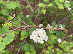 -鬼笑石后山停车场
