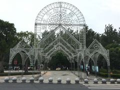 景点-合肥滨湖国家森林公园