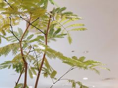 -HARBS(京都藤井大丸店)