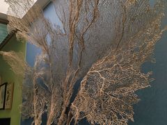 -中国湿地博物馆