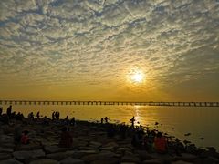 -宝安西湾红树林湿地公园