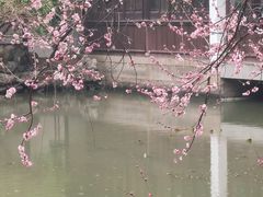 -艺圃