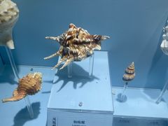 -温州博物馆
