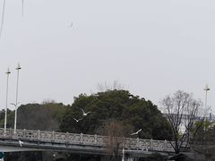 -扬州古运河