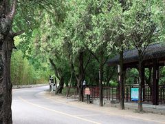 -蝴蝶泉公园