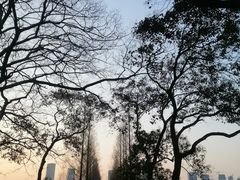 -湖南烈士公园(芙蓉区)