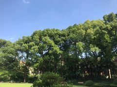 -申粤轩酒楼·三十年粤菜经典(丁香花园店)
