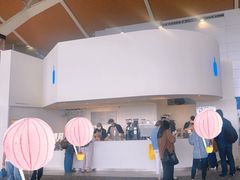 -上海浦东国际机场-T2航站楼