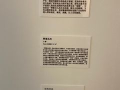 -武汉光谷K11