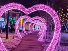 -北京龙庆四季香农家饭庄·灶台鱼·碳烤虹鳟鱼(龙庆峡店)