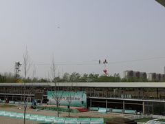 -北京鹿世界主题园