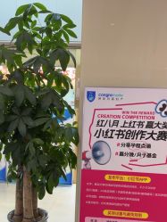 -坤如玛丽·医疗美容中心