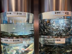 -老船舫·现做活鲜鱼馆(东郊记忆店)