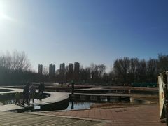 -长白岛森林公园