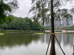 -重庆彩云湖湿地公园