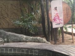 -龙达温泉生态城