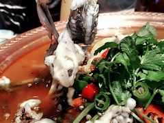 -沪小二炭火蛙锅(淮海中路美食不夜城店)