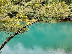 -鼎湖山风景区