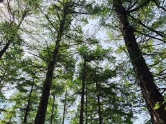 -六鼎山文化旅游区