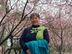 -南山植物园