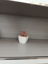 -宇东国际 HAIR SALON