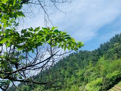 -敬亭山风景名胜区