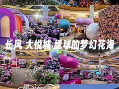-上海长风大悦城
